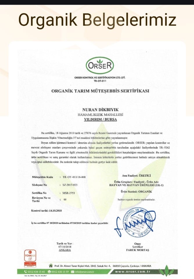 Organik belgelerimiz