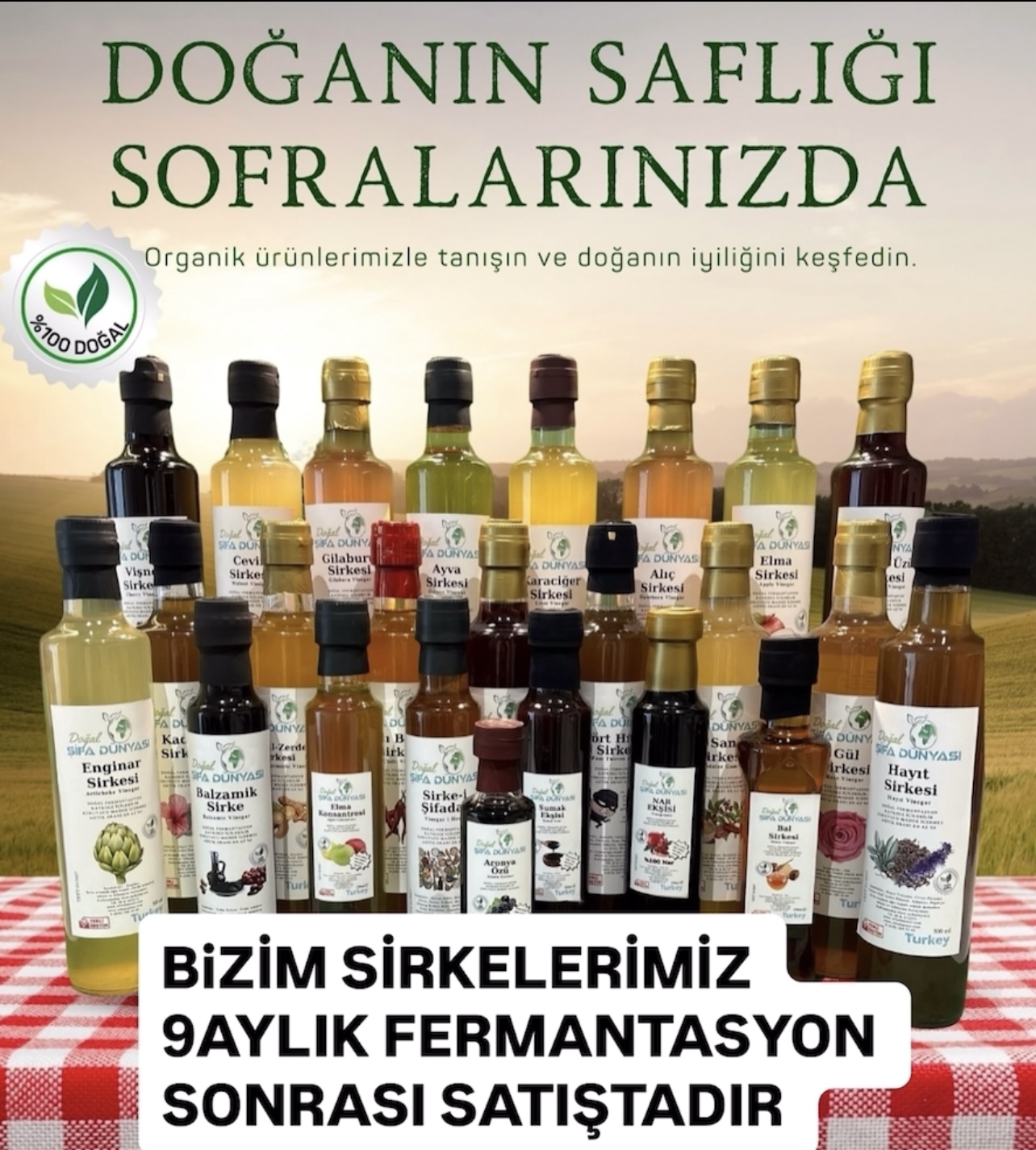 Alıç Sirkesi