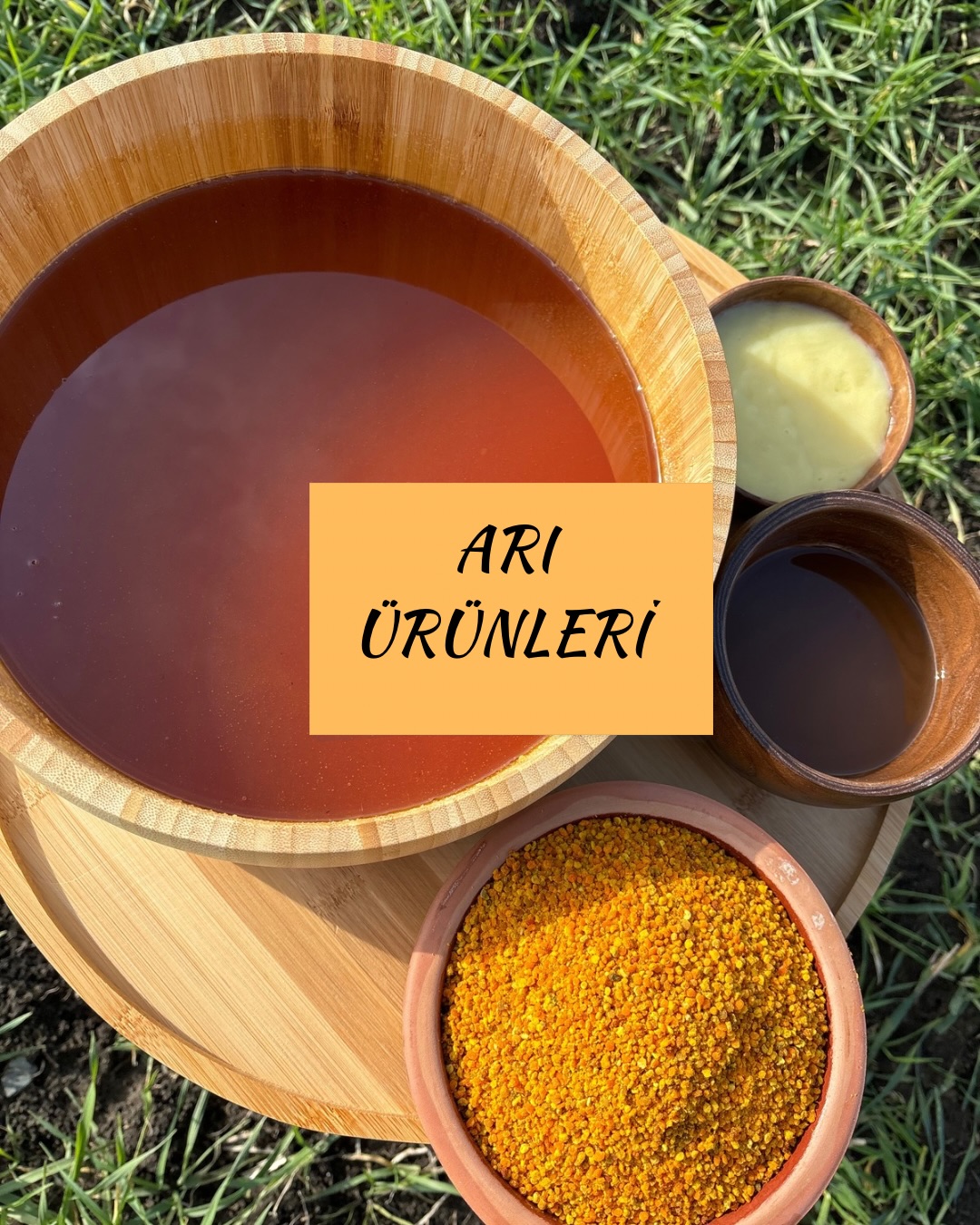 Arı Ürünleri