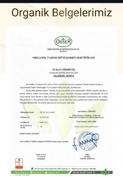 Organik Belgelerimiz