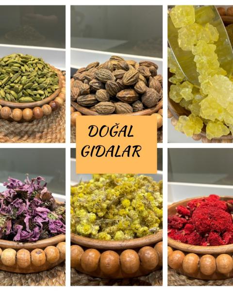 Gıda